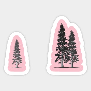 Douglas Fir Trees Sticker